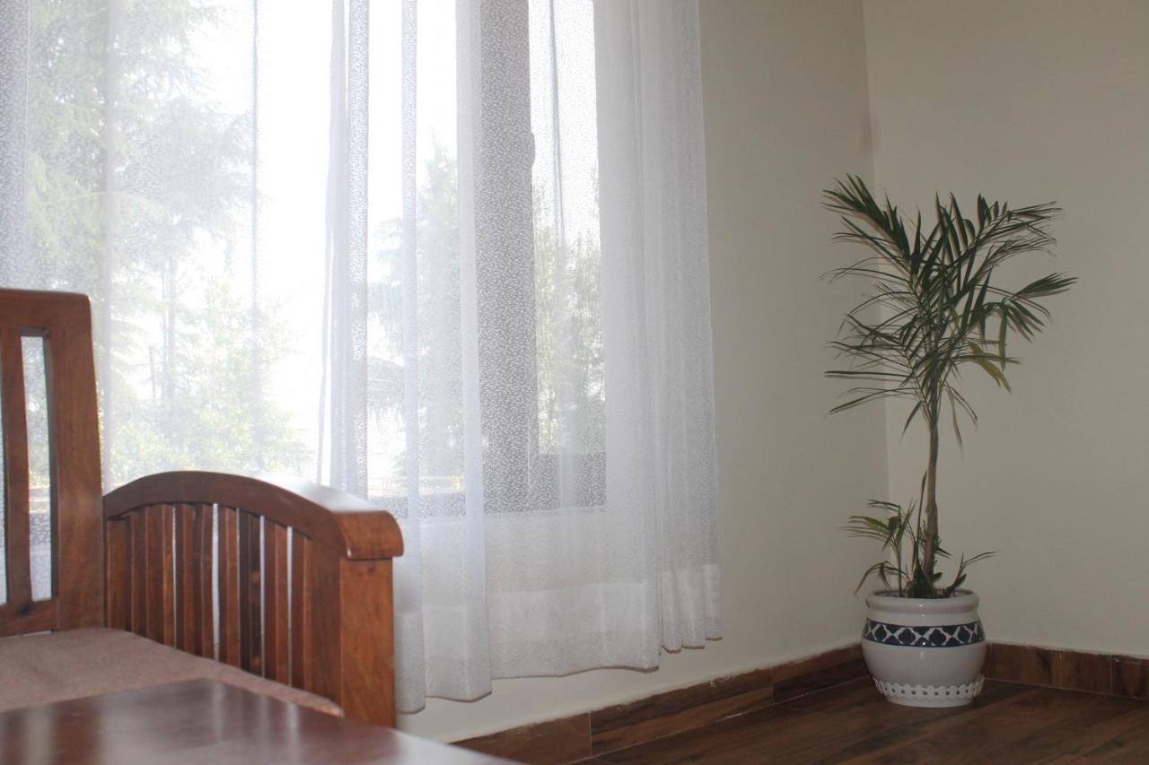 Guest house Junglaat & Experiences *