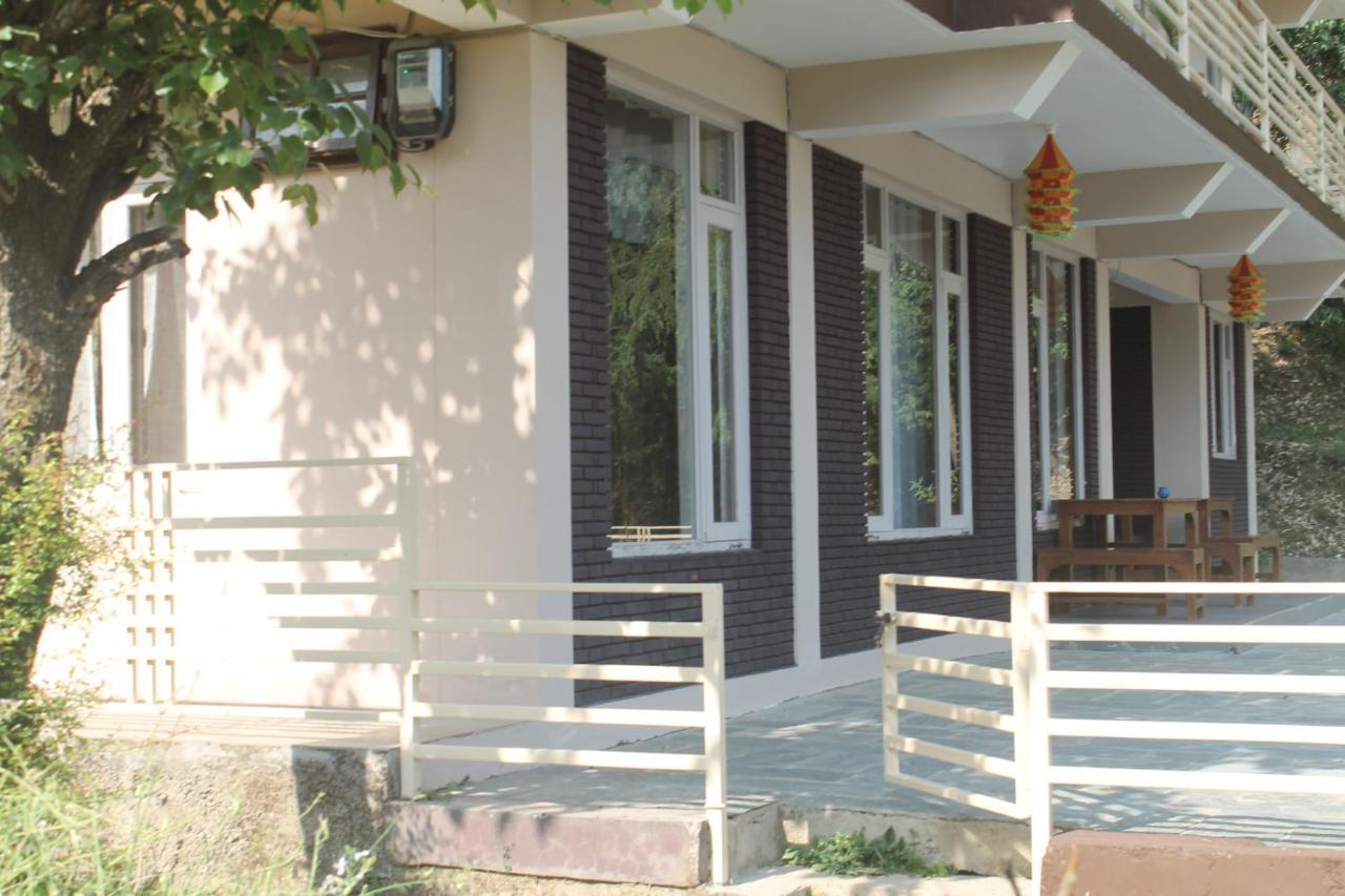 Junglaat & Experiences