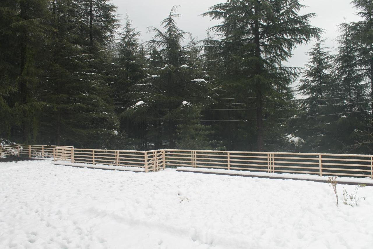 Junglaat & Experiences Dharamshala
