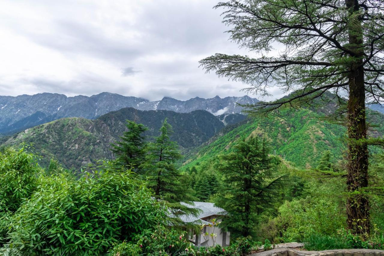 Eagles Nest Resort Dharamshala