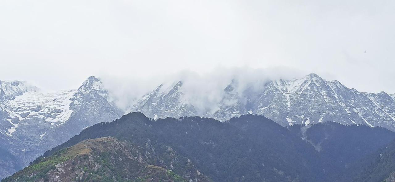 Hotel Naddi Edge Dharamshala