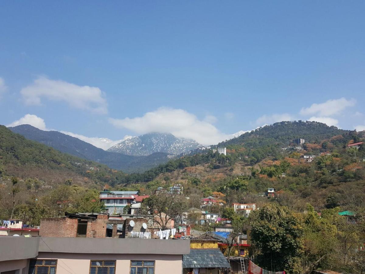 Nature's View 3*