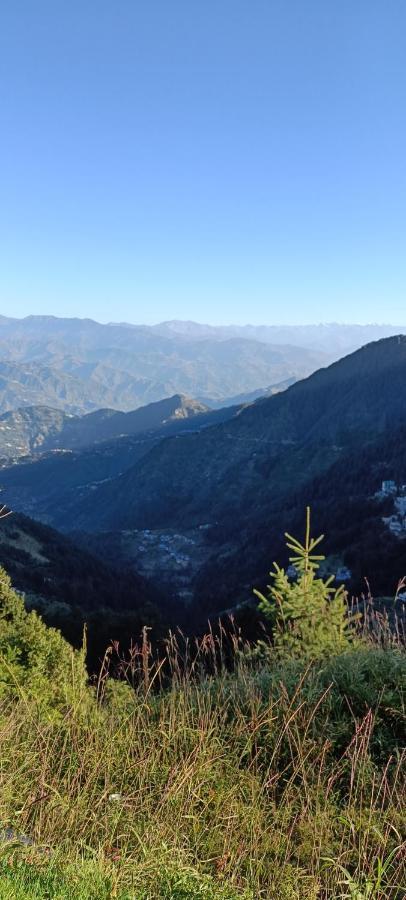 Peaceful Homely Homestay Homestay Dharamshala