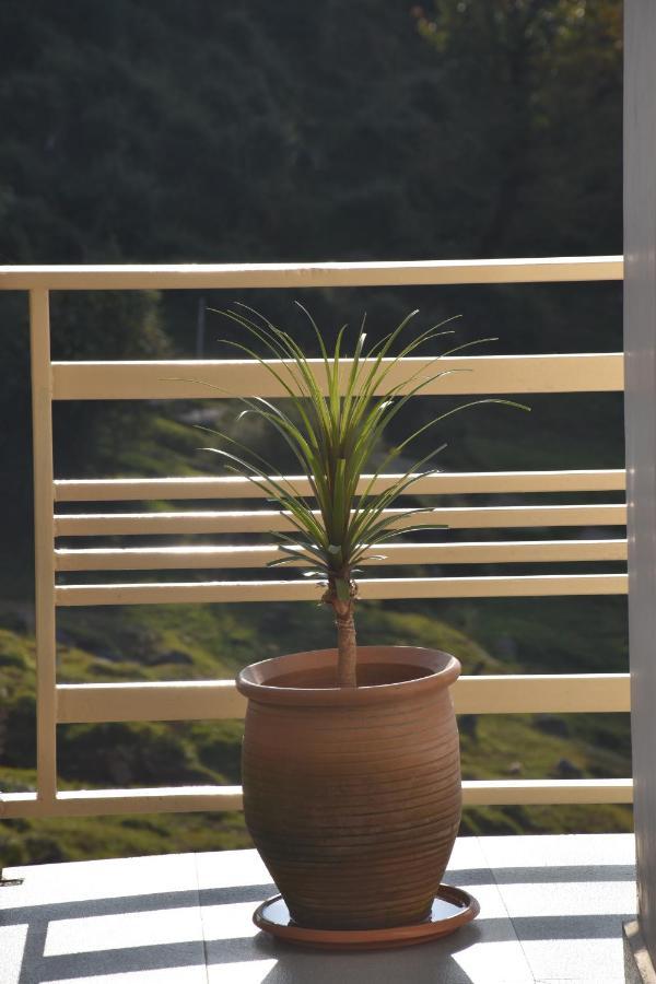 Jot Eco Boutique Bed & Breakfast *