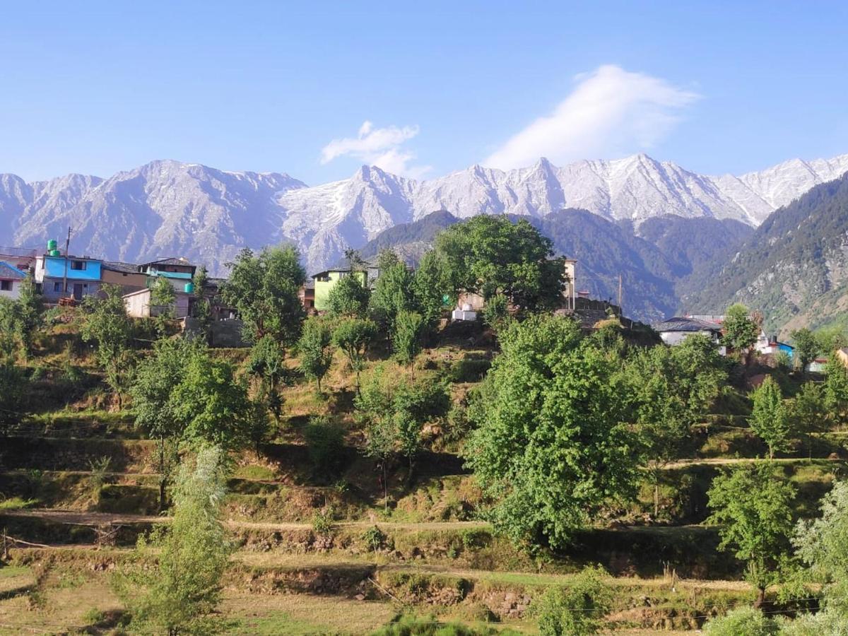 Mcleodganj Diaries Bed & Breakfast