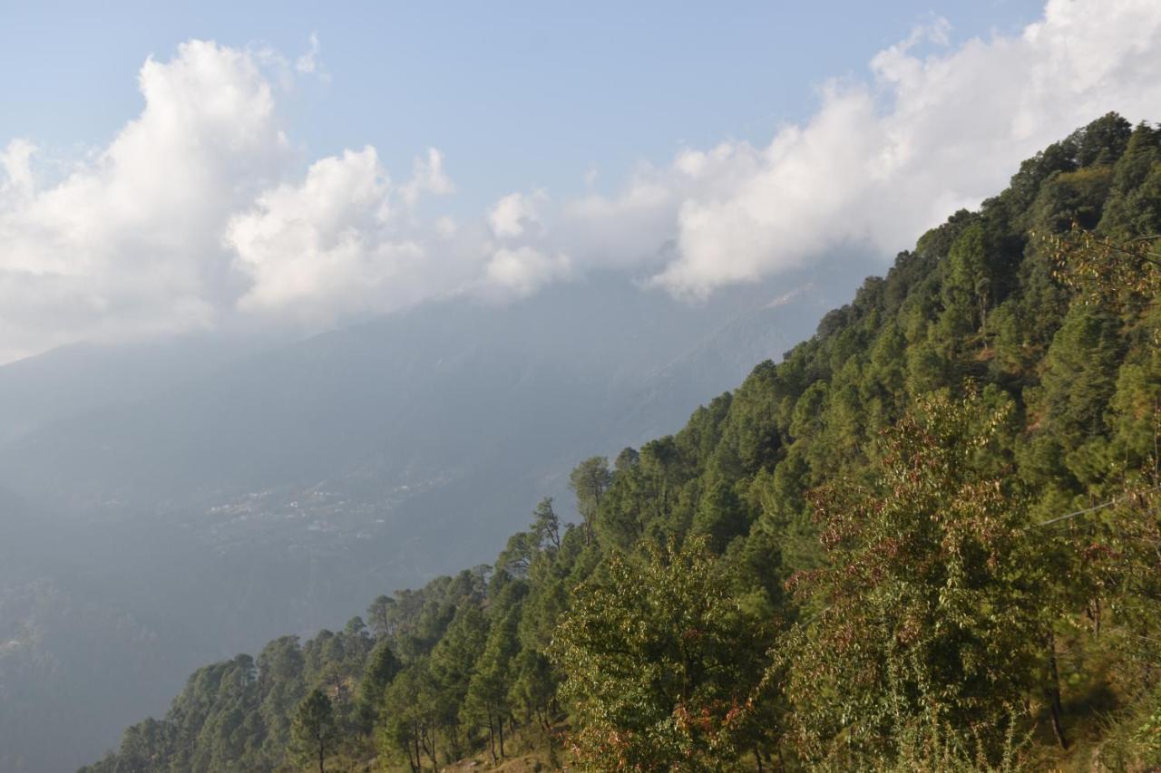 Bed & Breakfast Jot Eco Boutique Dharamshala