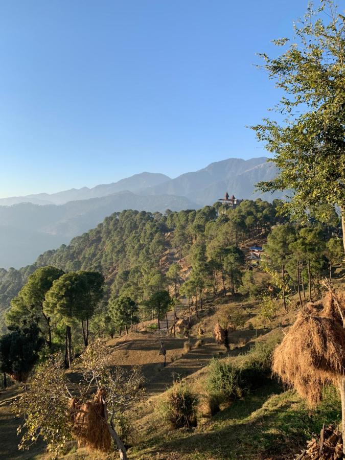 Meemo's Dharamshala