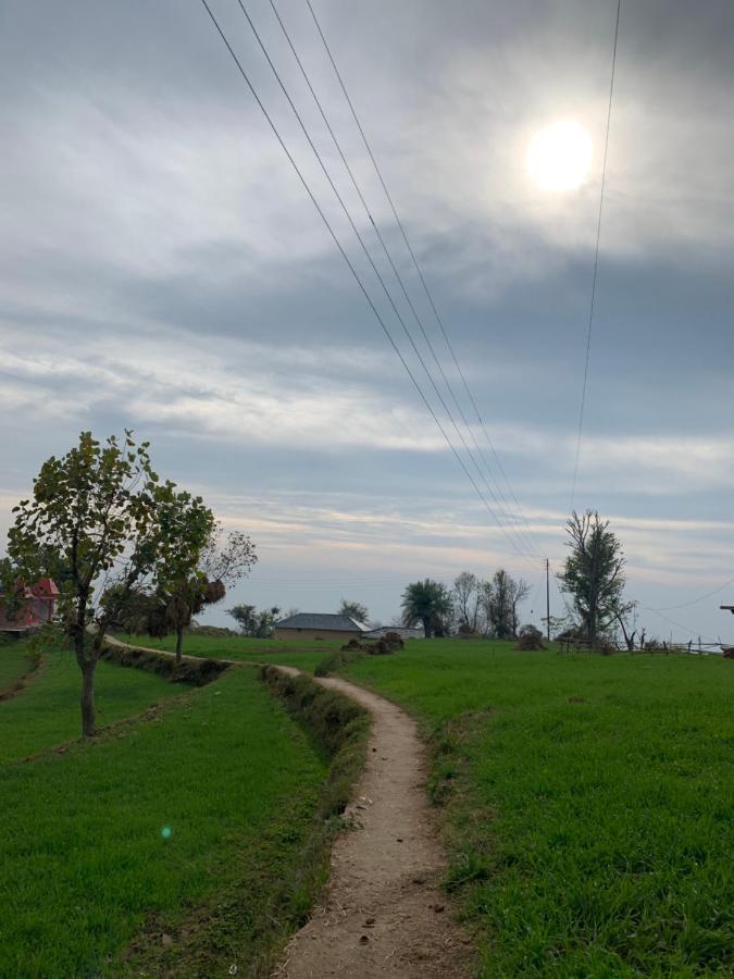 Meemo's Dharamshala