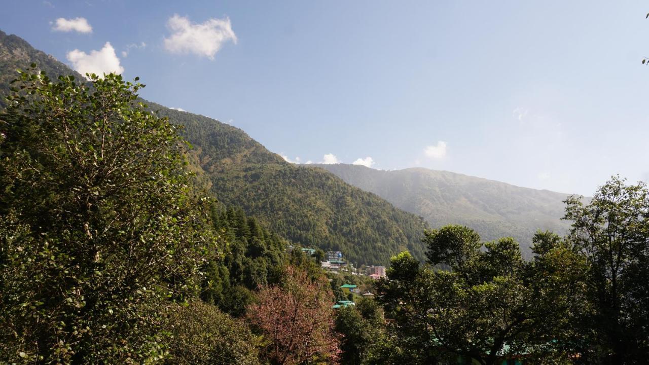 Angela's Boutique Homes Dharamkot Lodge *