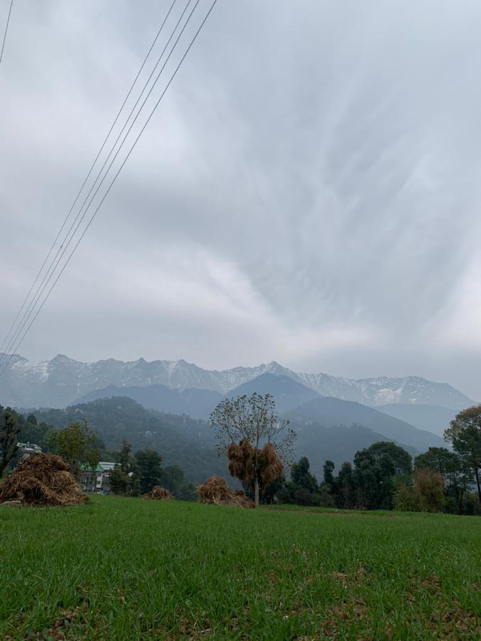 Meemo's Dharamshala