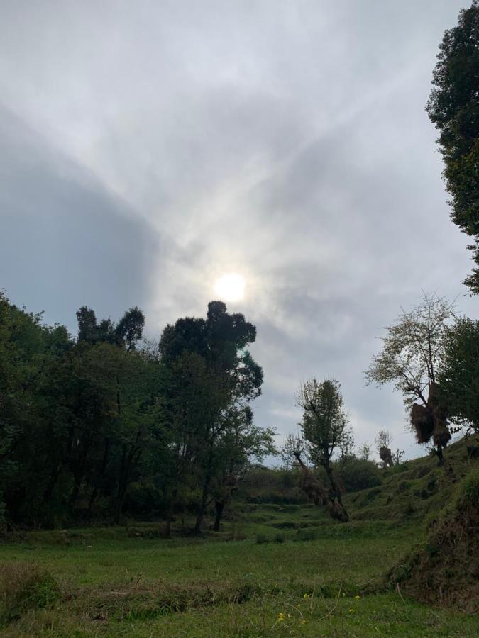 Meemo's Dharamshala