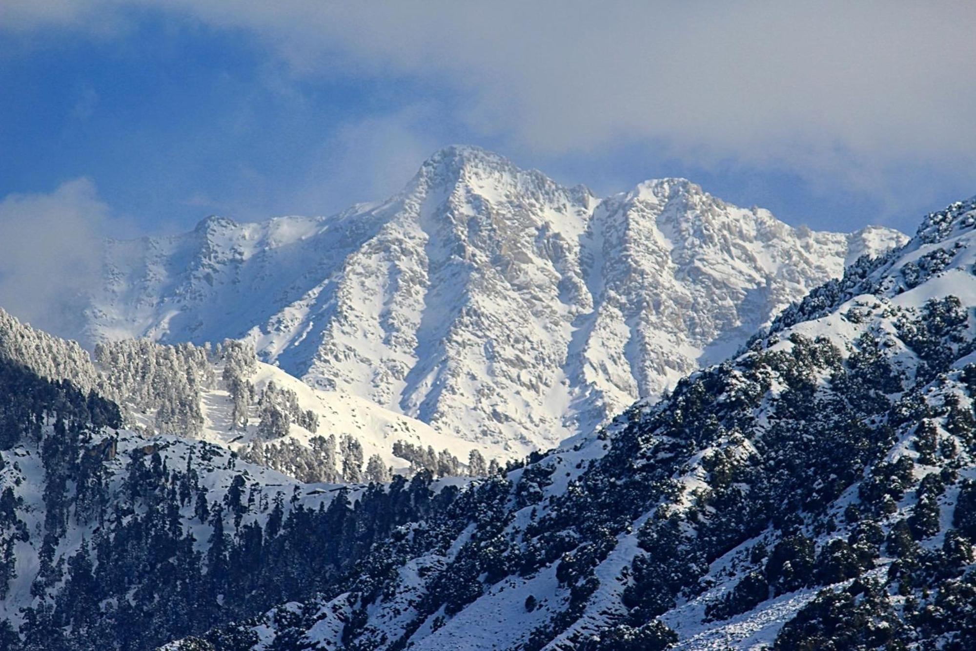 Bliss Valley - Beautiful View Of Mountains From Dharamshala