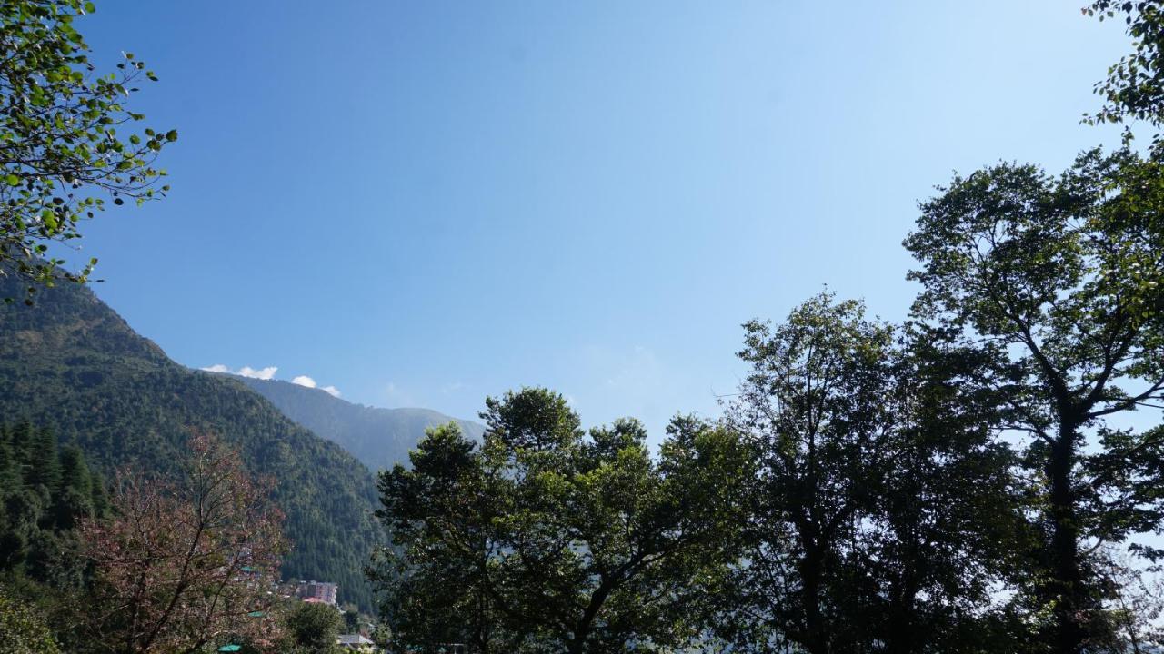 Angela's Boutique Homes Dharamkot Lodge Dharamshala