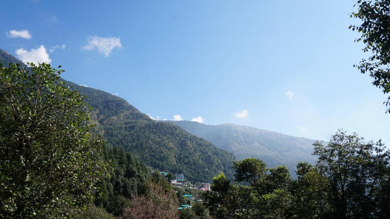 Lodge Angela's Boutique Homes Dharamkot Dharamshala