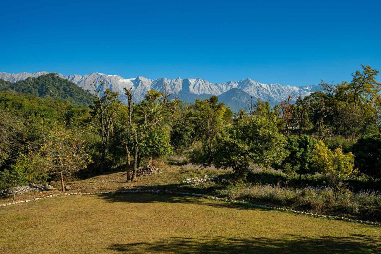 Stayvista At Tea House With Fragrant Tea Gardens * Dharamshala