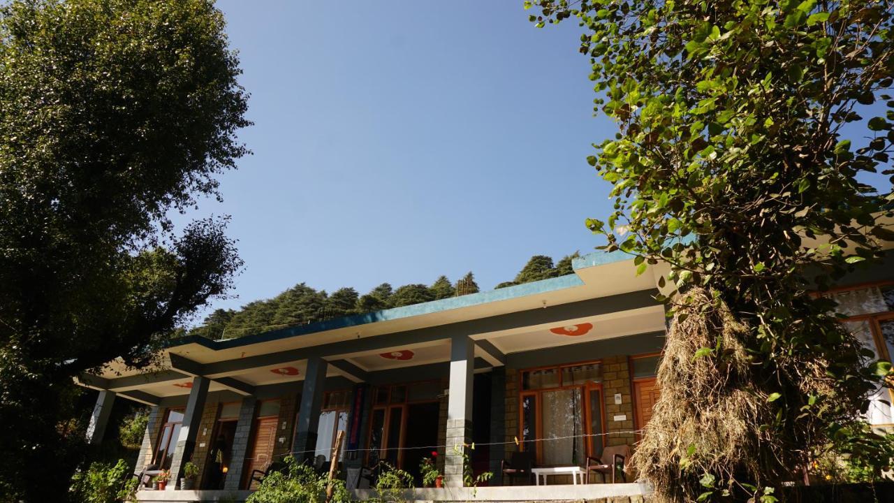 Lodge Angela's Boutique Homes Dharamkot Dharamshala