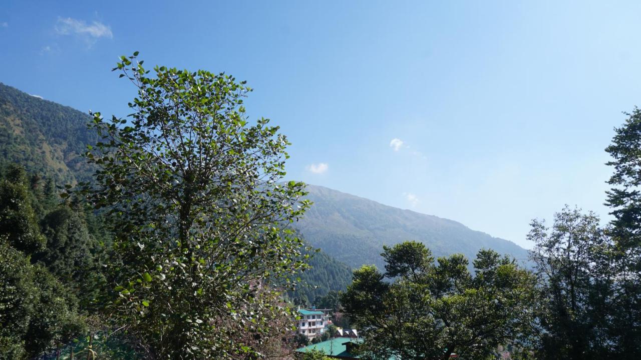 Angela's Boutique Homes Dharamkot Lodge *