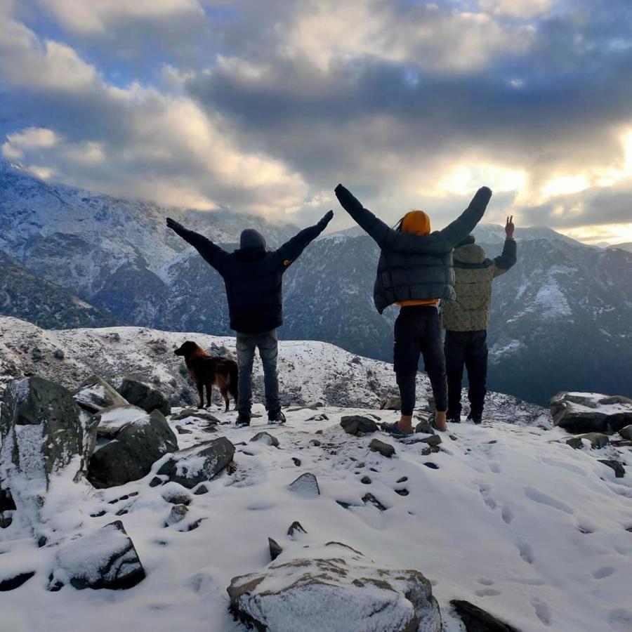 Triund Trek And Camping Dharamshala