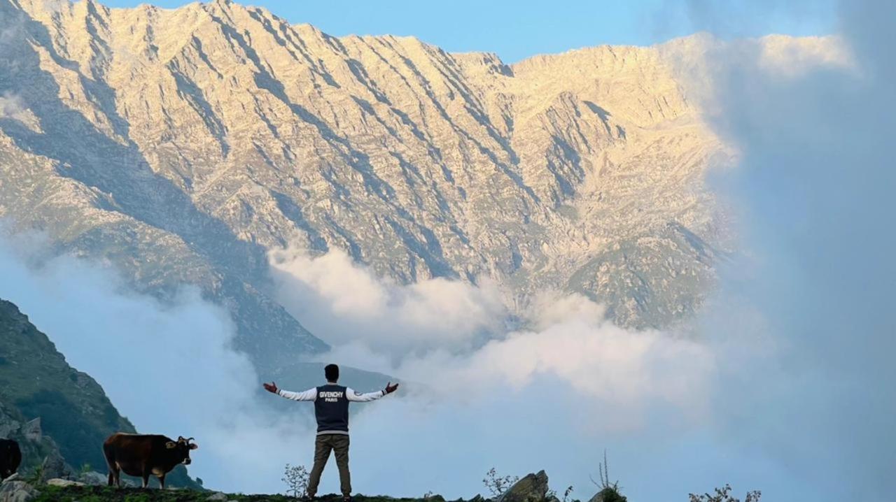 Triund Trek And Camping Dharamshala
