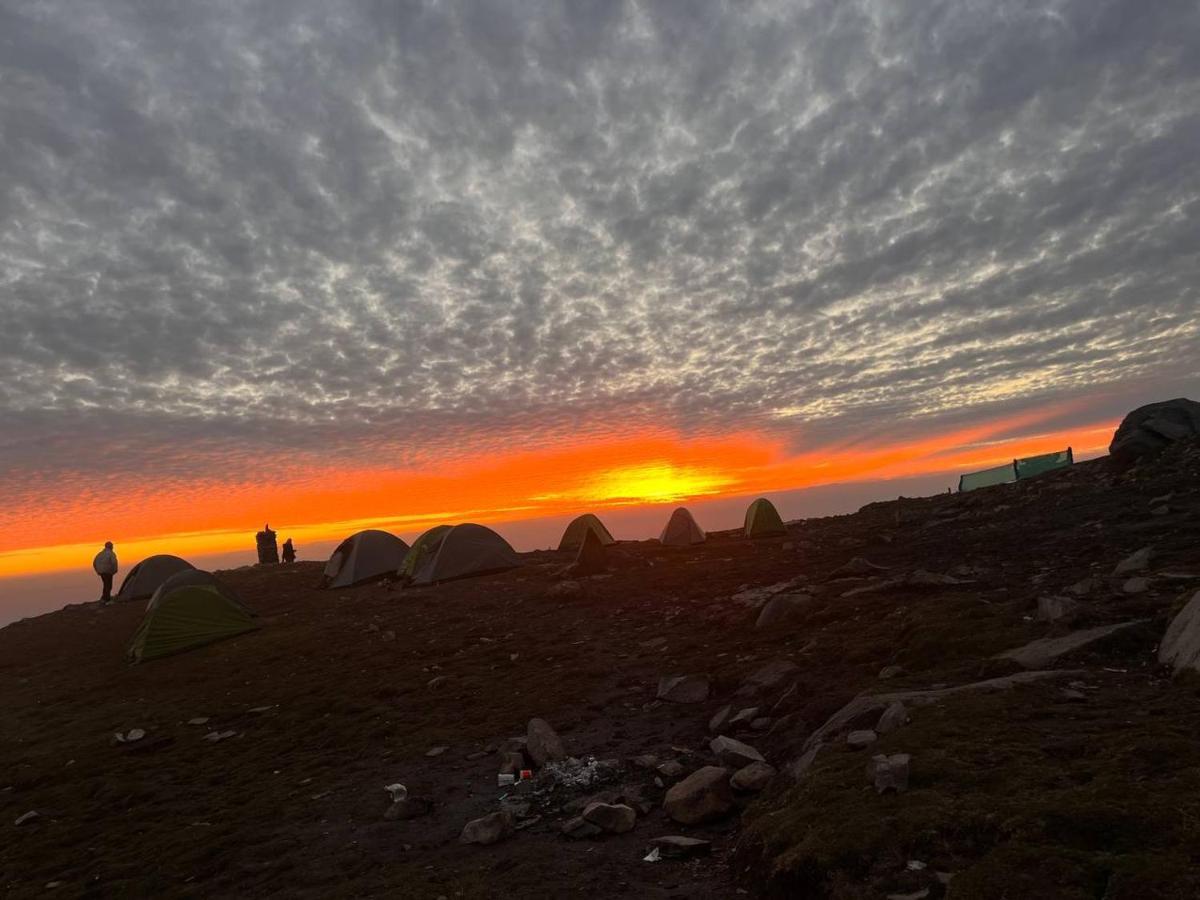 Triund Trek And Camping