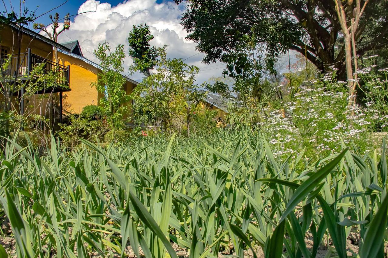 Resort Prakriti Aalay - Riverside Mountain View Boutique Eco Dharamshala