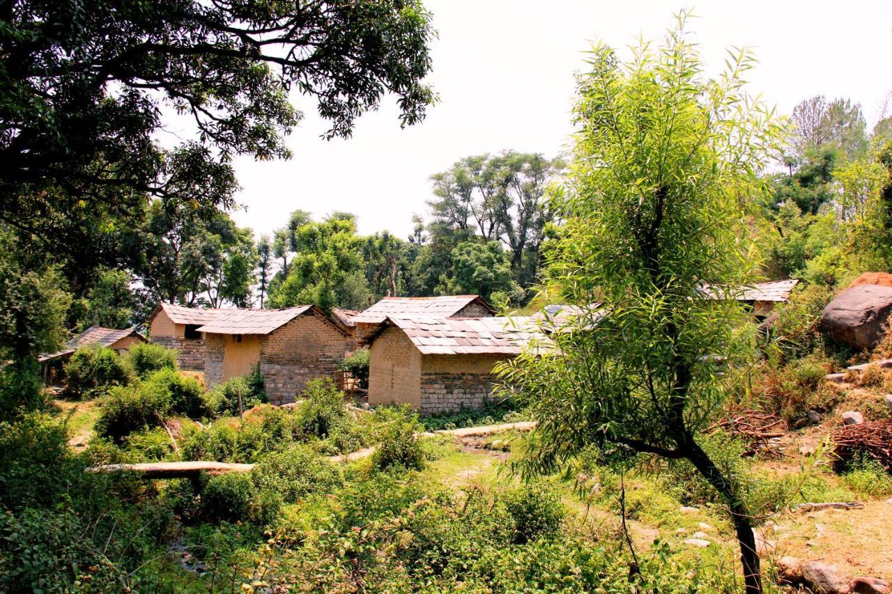 Prakriti Aalay - Riverside Mountain View Boutique Eco Resort Dharamshala