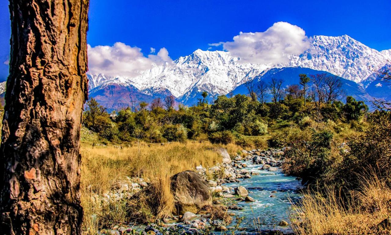 Prakriti Aalay - Riverside Mountain View Boutique Eco Resort Dharamshala
