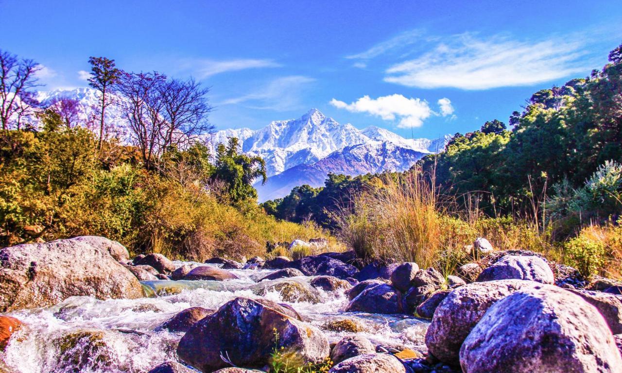 Prakriti Aalay - Riverside Mountain View Boutique Eco 4* Dharamshala