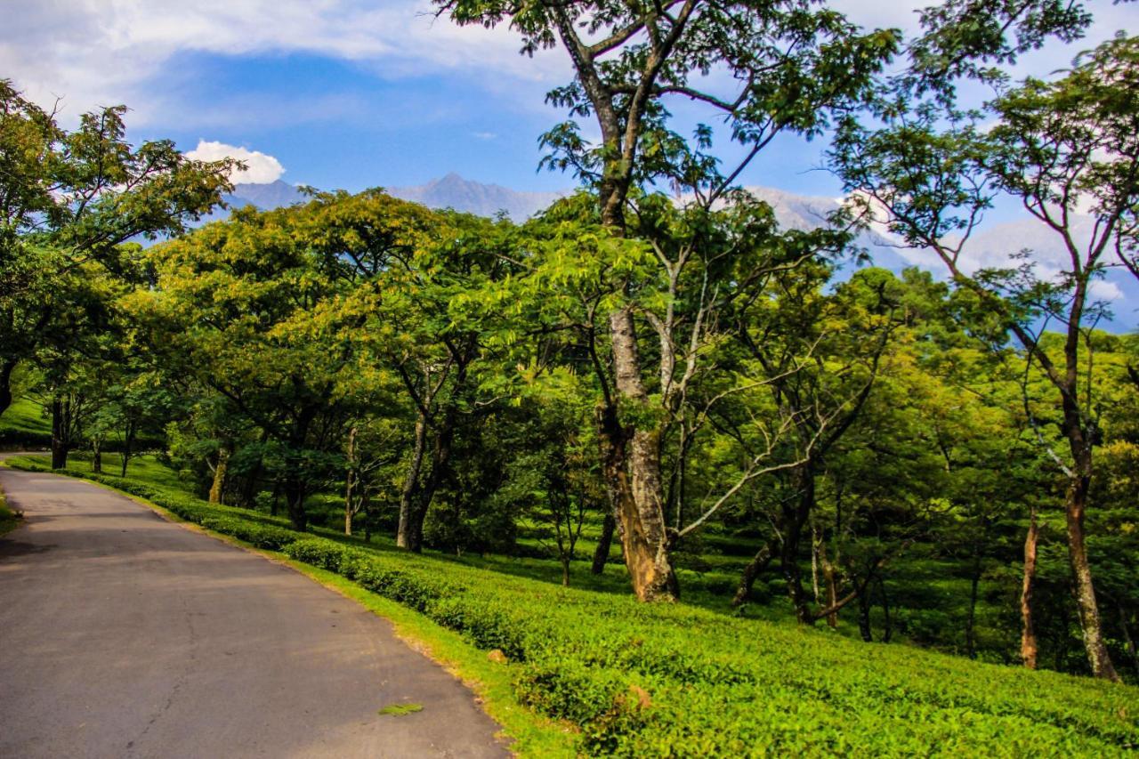 Resort Prakriti Aalay - Riverside Mountain View Boutique Eco Dharamshala