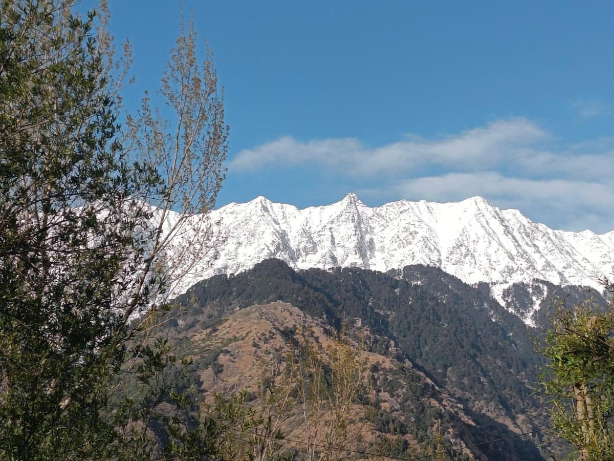 Peaceful Homely Homestay * Dharamshala