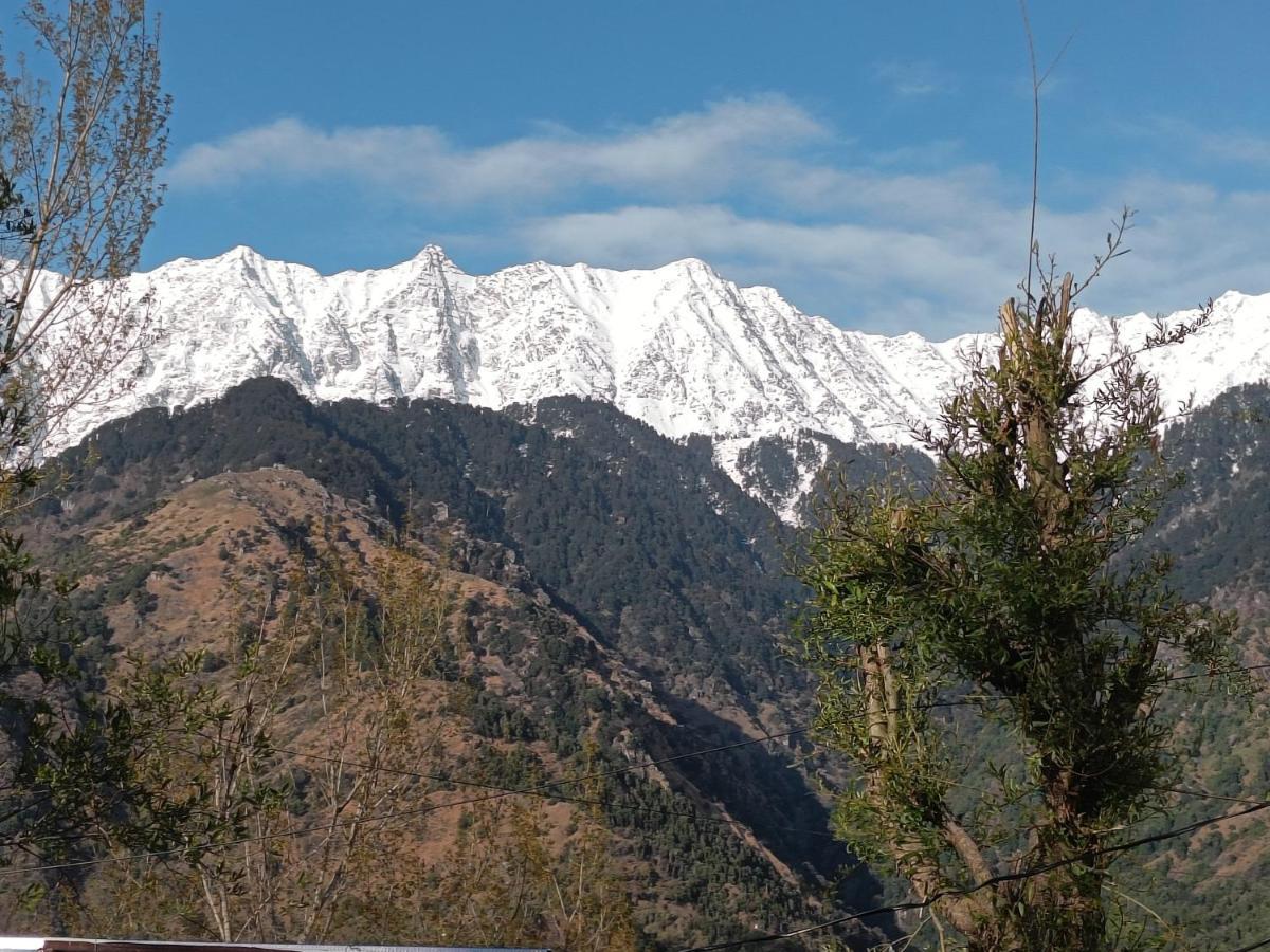 Peaceful Homely Homestay Homestay Dharamshala