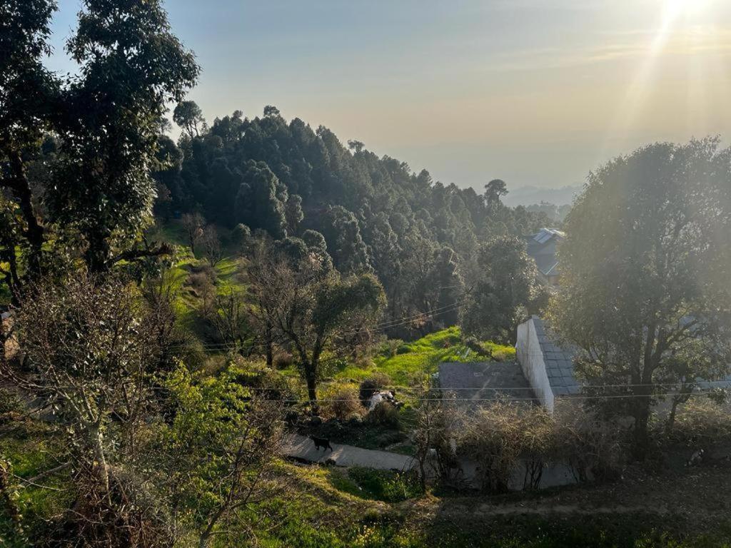 Sharry's * Dharamshala
