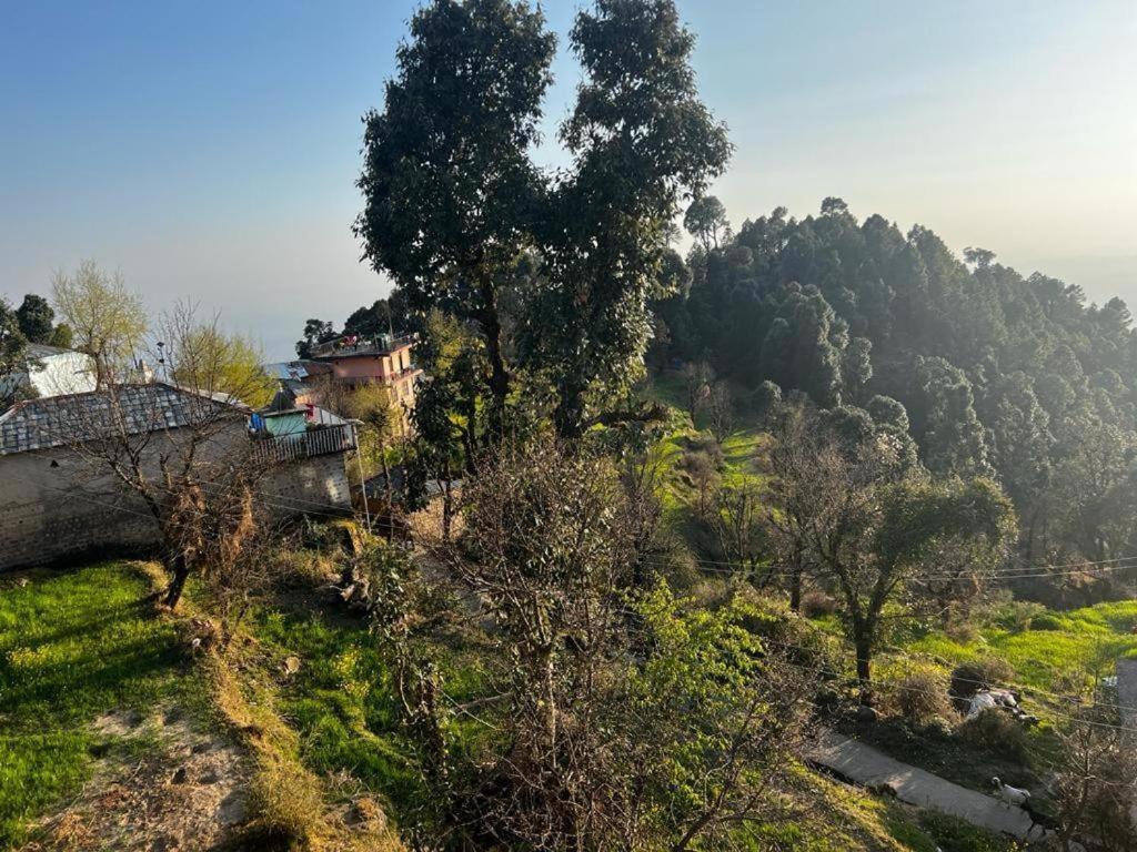 Homestay Sharry's Dharamshala