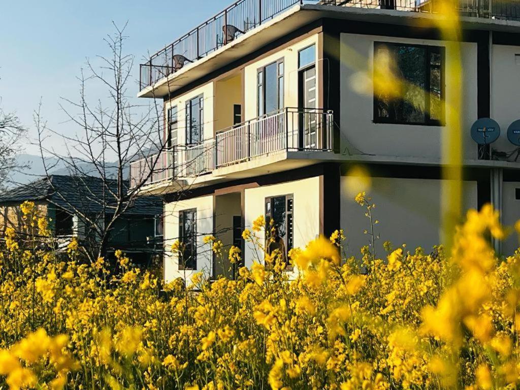 Sharry's Homestay Dharamshala