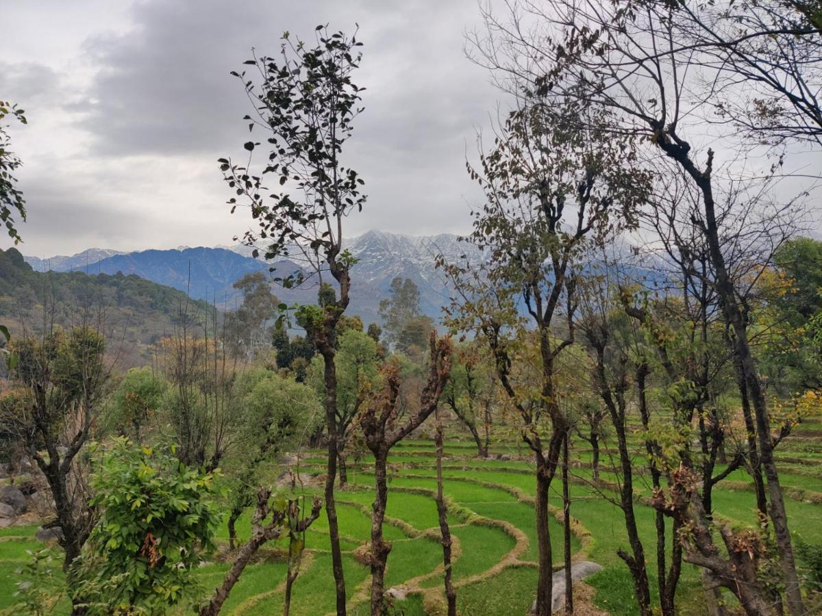 Dev Bhoomi Farms & Dharamshala