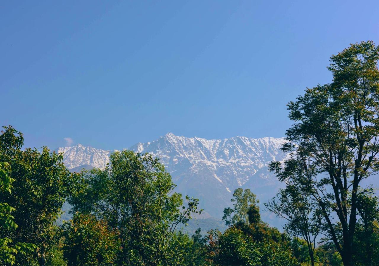Dev Bhoomi Farms & Resort 4*