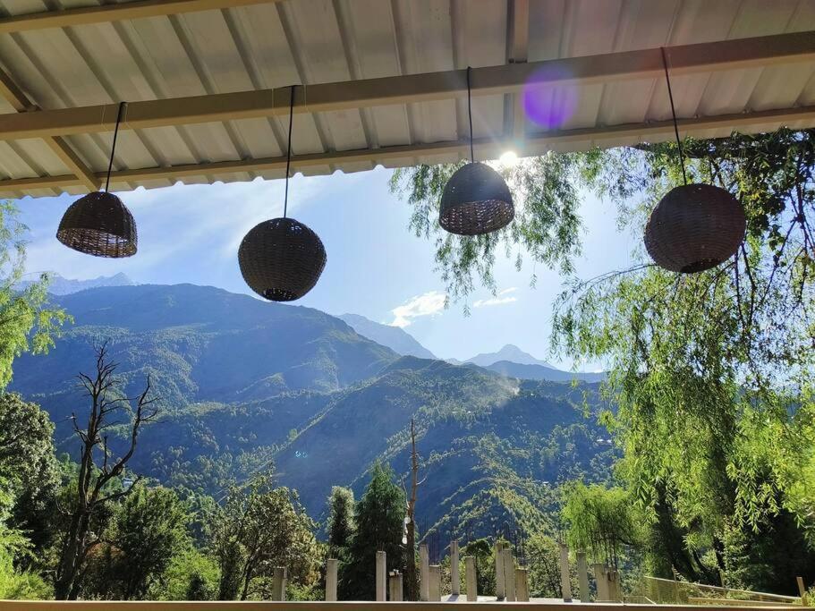 Eco #1 Dharamshala