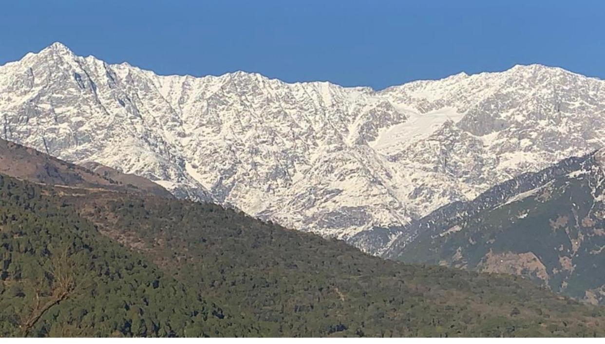 Apartment Riva Dreams Dharamshala