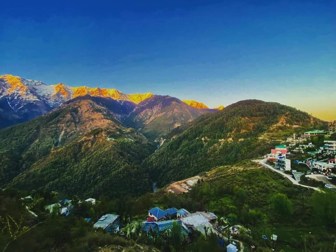Sahaj Homestay Naddi Homestay