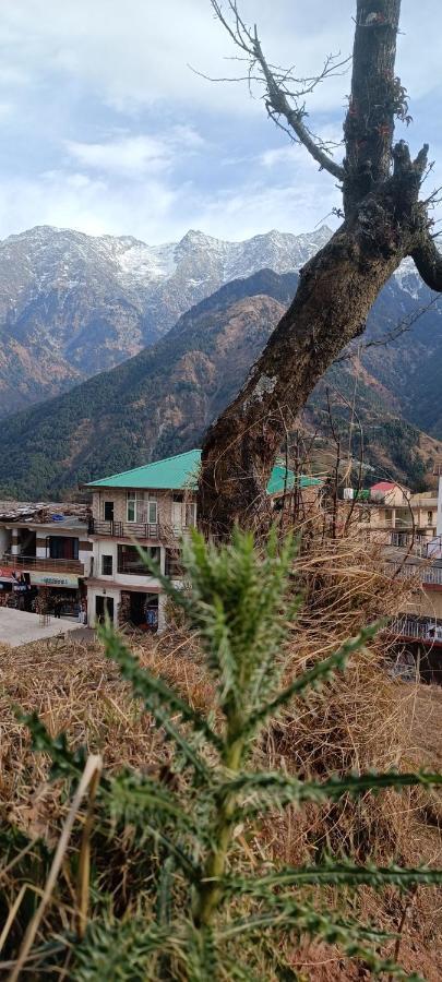 Sahaj Homestay Naddi Homestay Dharamshala