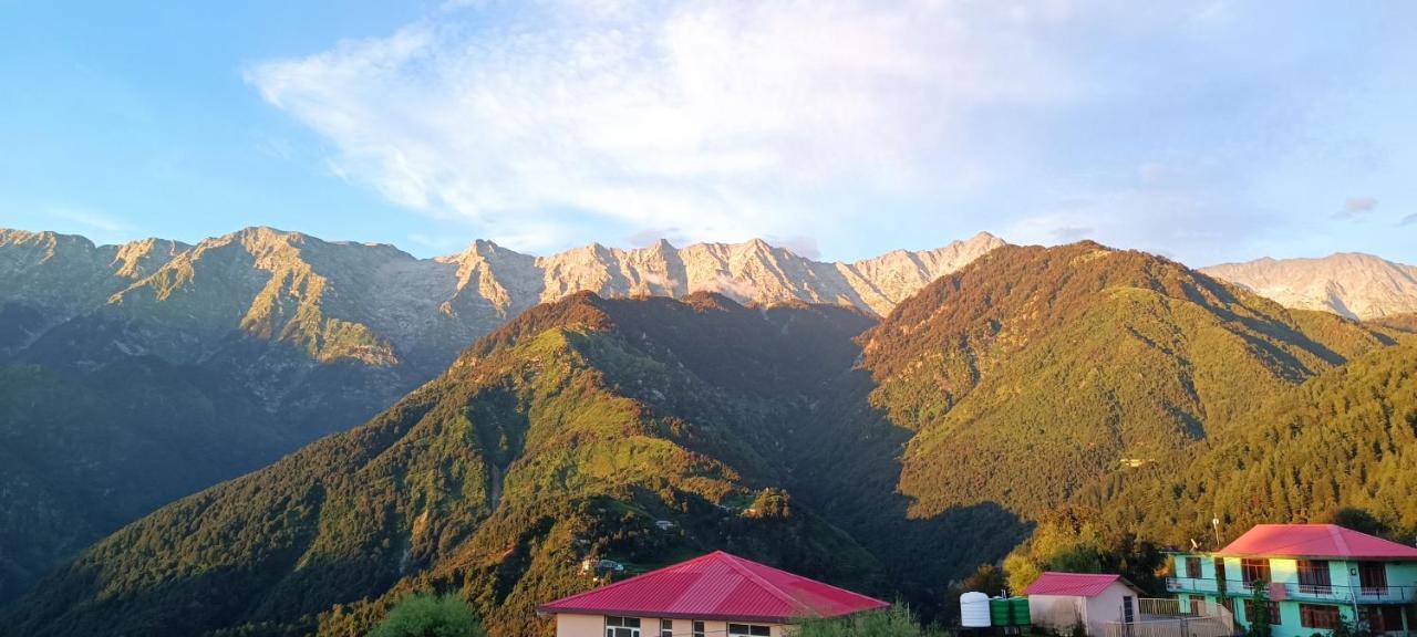 Sahaj Homestay Naddi Homestay *