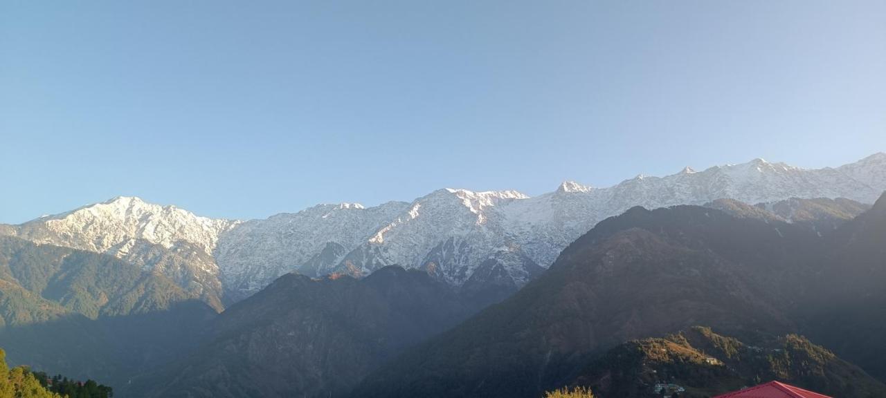 Sahaj Homestay Naddi Homestay