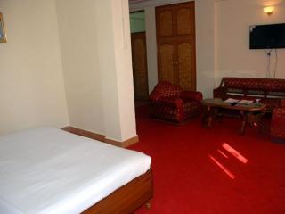 Hotel Anand Palace Dharamshala