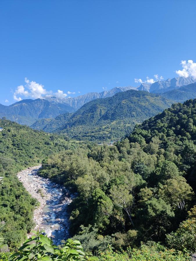 Dhauladhar View Village
