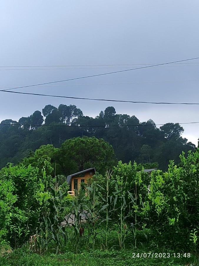 Hotel Dhauladhar View Village Dharamshala
