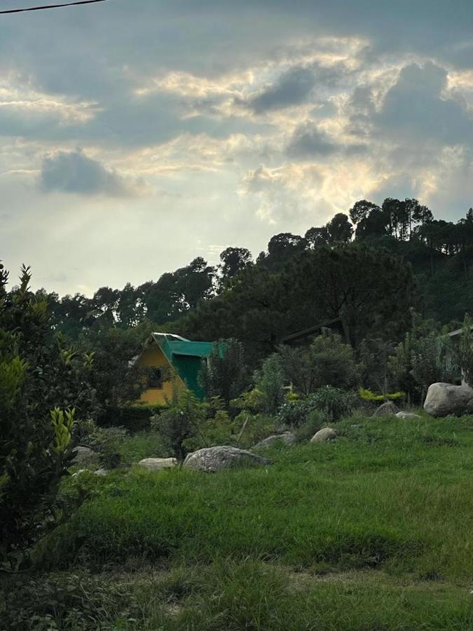 Dhauladhar View Village 2* Dharamshala