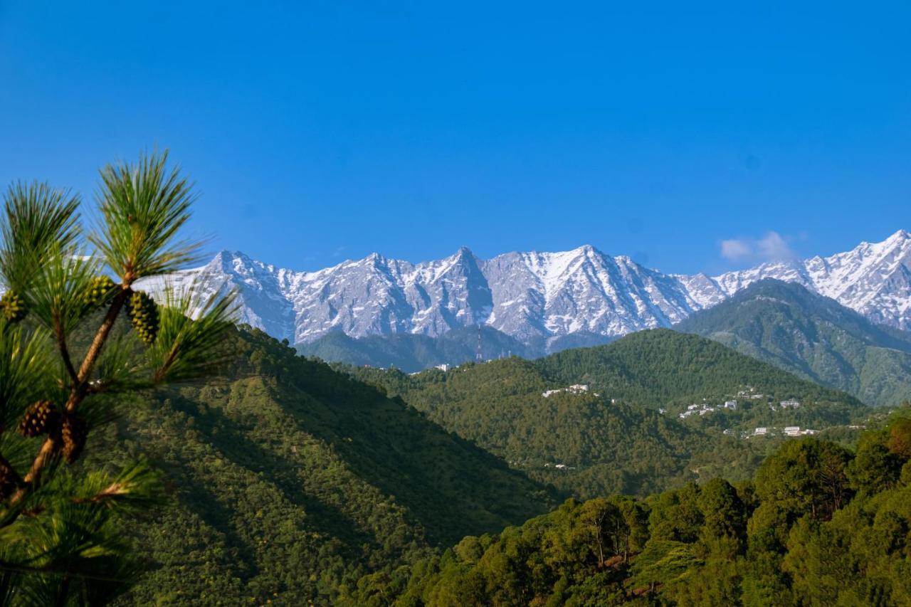 Hotel Dhauladhar View Village Dharamshala