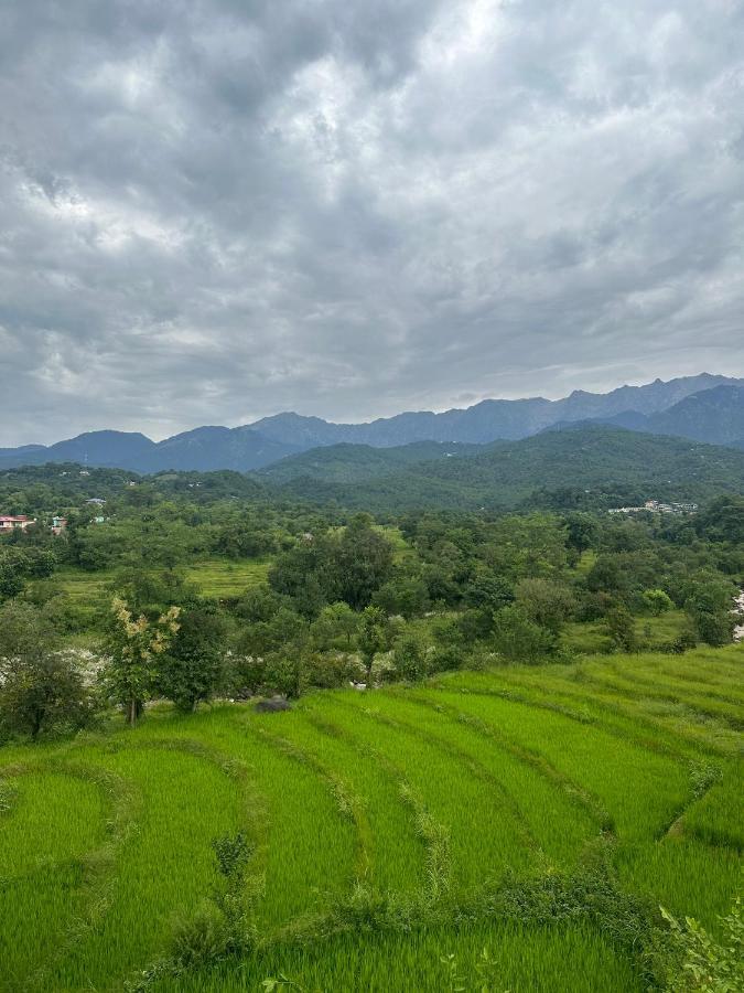 Dhauladhar Homes Dharamshala