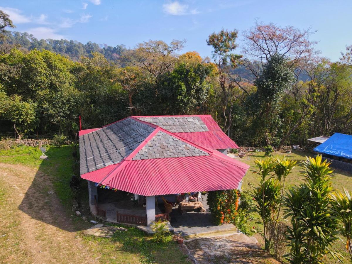 Hostel Dreamwoods A Travellers Farm Dharamshala
