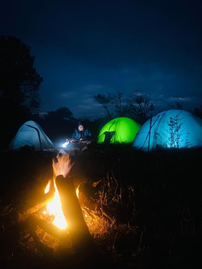 Dreamwoods A Travellers Farm Hostel